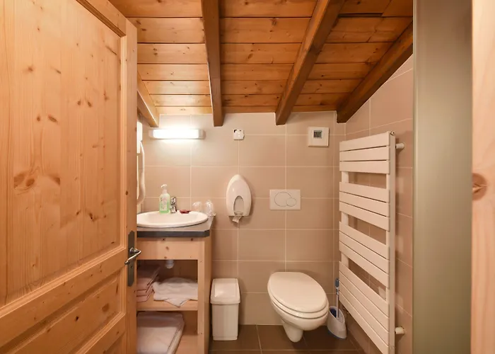 Loc'hotel Alpen Sports ホテル 3*