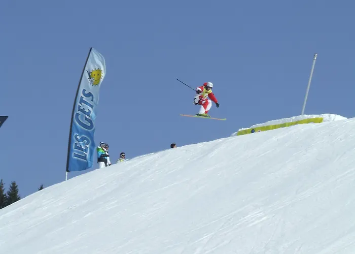 Loc'hotel Alpen Sports ホテル レ・ジェ